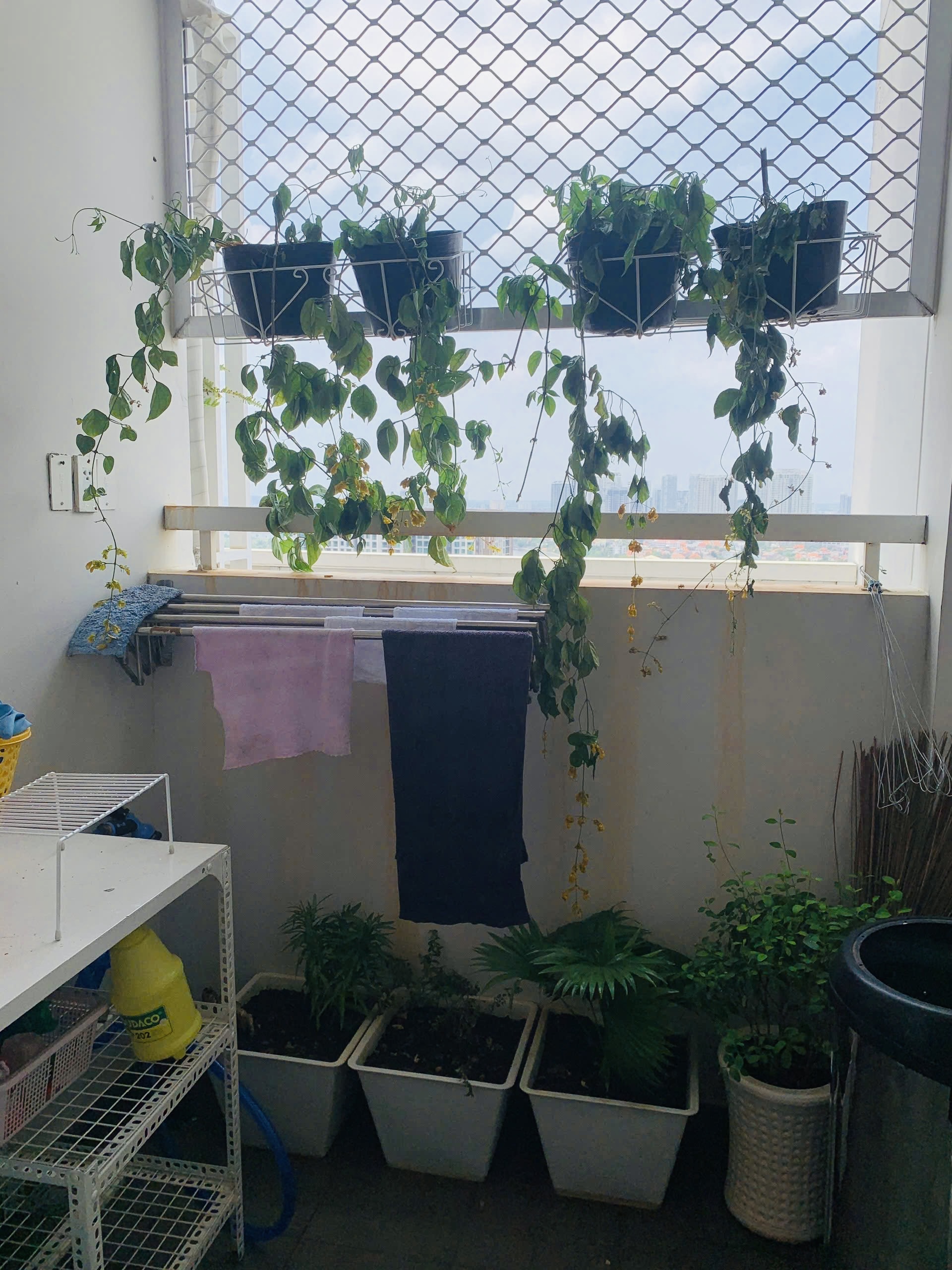 Ban công logia căn góc Tropic Garden view trên cao thoáng